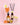 pink champagne & guava room spray